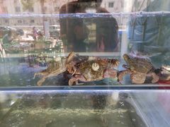 -海之鲜大排档(东山海鲜金銮湾店)