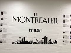 -蒙特利尔皮埃尔·埃利奥特·特鲁多国际机场