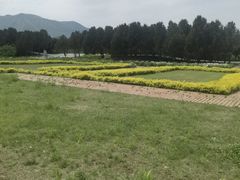 -秦始皇帝陵博物院-丽山园