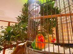 -长禧家·珑厨(东山口店)