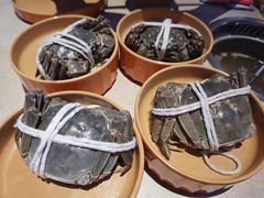 -海底捞大排档火锅(打浦路店)