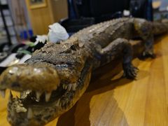 -观澜湖手艺工场·陶艺·吹玻璃·拼豆