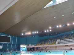 -重庆市奥林匹克体育中心-游泳跳水馆