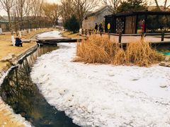 -三里河公园