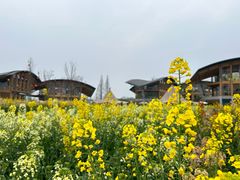 -中国天府农业博览园