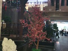 -聚春园自助餐厅(东街口店)