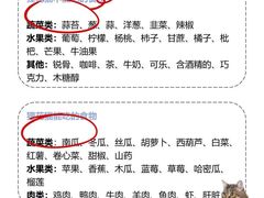 -lincat·猫舍(广州店)