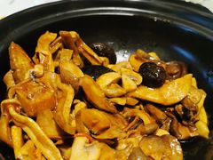 野山菌黑豆腐-峨嵋酒家(地安门店)