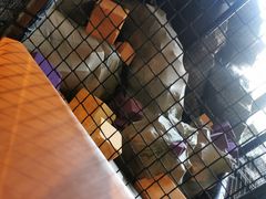 -VFSC极限蹦床主题公园(乐园道彩悦城阳光店)