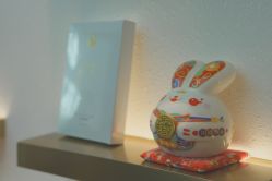 -万阡国际专业祛斑·祛痣·祛疤连锁