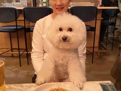 -the rug 飞毯 (朝阳公园店)