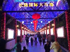 -广州长隆国际大马戏