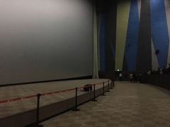 -天幕新彩云国际影城(激光巨幕店)