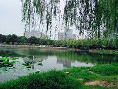 -后襄河公园