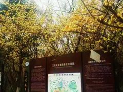 -三圣花乡旅游区