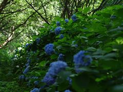 -达蓬山旅游度假区