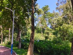 -火炉山森林公园