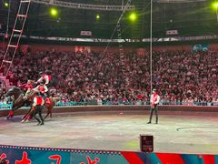 -俄罗斯国家大马戏团