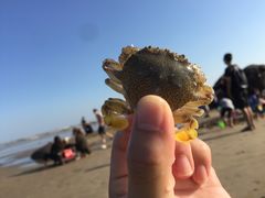 -南澳海滩