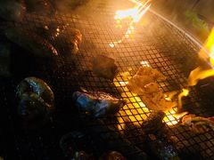 -五彩凉山自助西昌烧烤(柳翠路店)