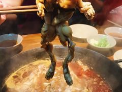 -老天桥蛙炉火锅(姑苏总店)