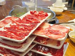 -牛必福潮汕牛肉火锅(油坊桥店)