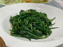 炒桑叶-金翠皇宫粤菜·点心·海鲜(科技园店)
