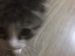 -不止轰趴桌游麻将台球(立水桥店)