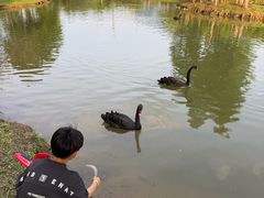 -森波拉奇妙世界