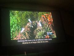 -阿尔卡特拉斯岛