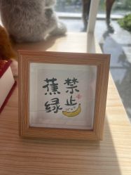 -IMON·HANSA潮玩玩偶毛绒玩具(通州万象汇店)