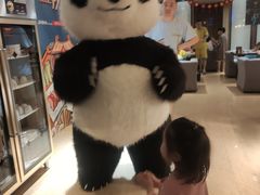 -金沙会馆