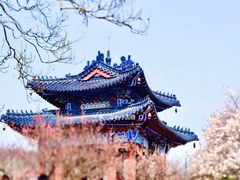 -梅花山(明孝陵内)
