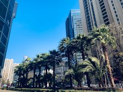 -宝力豪健身(万达广场店)