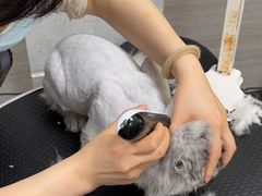 -宠颐生斯嘉宠物医院·急重症·心内科(谷阳北路分院)
