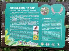 -海南热带野生动植物园