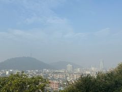-顺峰山公园