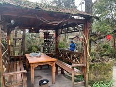 -青城甲(青城山店)