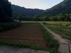 -八卦田遗址公园
