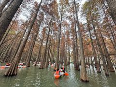 -星湖旅游景区七星岩