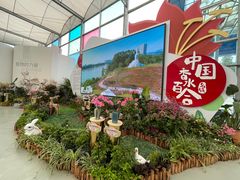 -万顷园艺世界