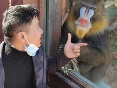 -济南野生动物世界
