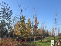 -洨河生态公园