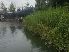-成飞公园
