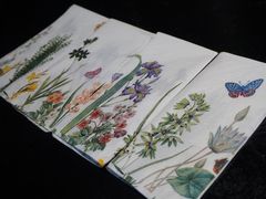 -松茸小馆·云南特色餐厅