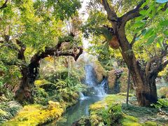 -Chom Cafe and Restaurant