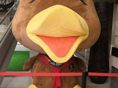 -厦门日月谷温泉渡假村