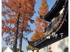 -汇龙潭