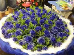 蓝色妖姬-容玉花店