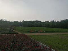 -同里国家湿地公园